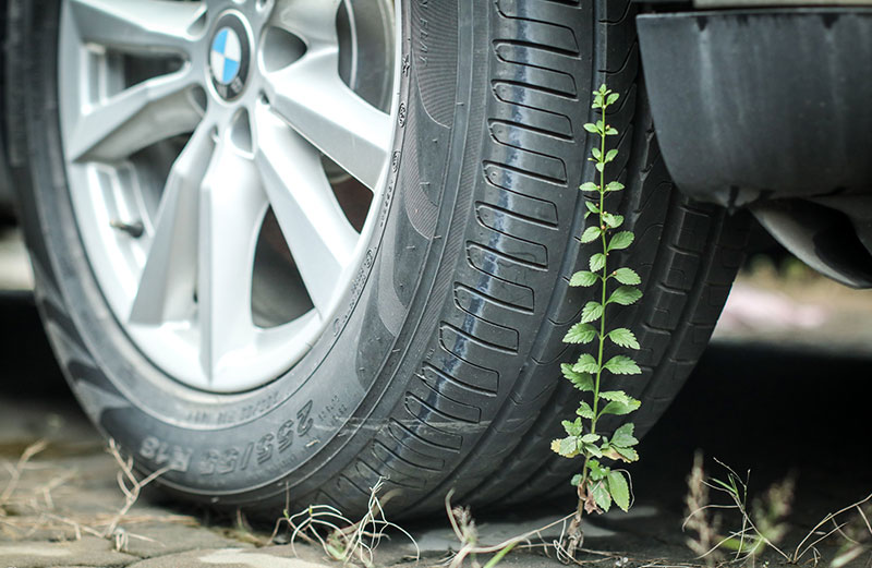 Cận cảnh dàn xe BMW hơn 3 triệu USD phủ bụi ở Sài Gòn